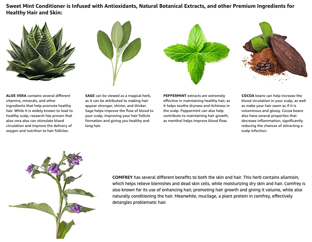 Teen Acne Total Body Care Kit | Shampoo + Conditioner + Body Wash + Face Cleanser + Face Moisturizer - Save 25%